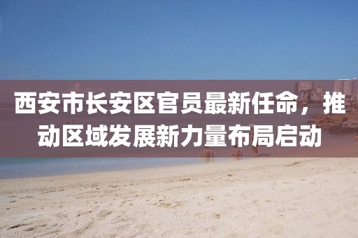 西安市长安区官员最新任命，推动区域发展新力量布局启动