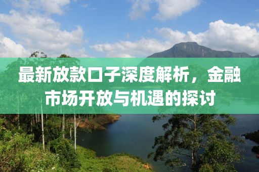 最新放款口子深度解析，金融市场开放与机遇的探讨