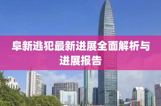阜新逃犯最新进展全面解析与进展报告