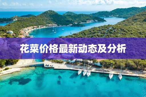 花菜价格最新动态及分析