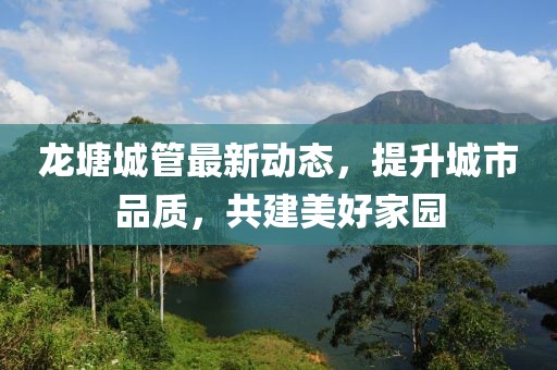 龙塘城管最新动态，提升城市品质，共建美好家园