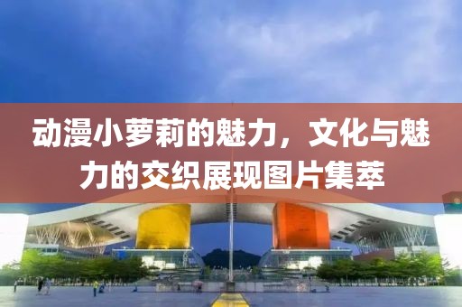 动漫小萝莉的魅力，文化与魅力的交织展现图片集萃