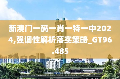 新澳门一码一肖一特一中2024,强调性解析落实策略_GT96.485