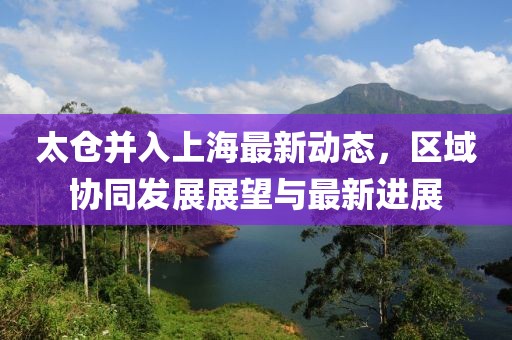 太仓并入上海最新动态，区域协同发展展望与最新进展