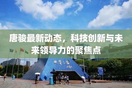 唐骏最新动态，科技创新与未来领导力的聚焦点
