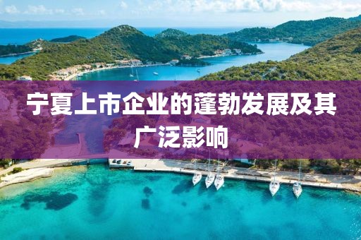 宁夏上市企业的蓬勃发展及其广泛影响
