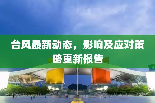 台风最新动态，影响及应对策略更新报告