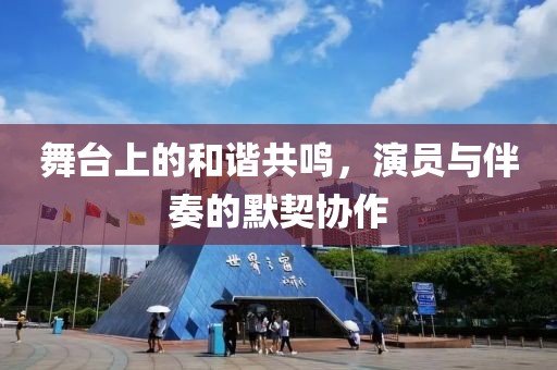 舞台上的和谐共鸣，演员与伴奏的默契协作