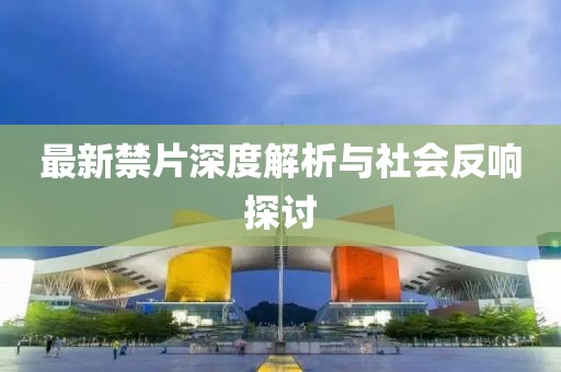 最新禁片深度解析与社会反响探讨