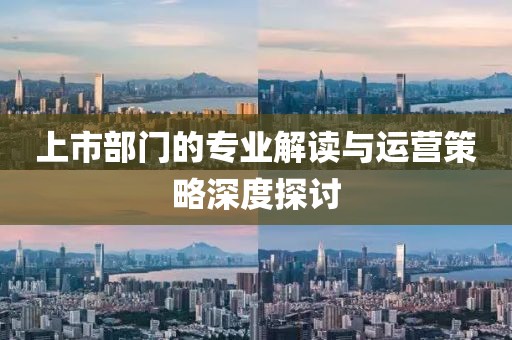 上市部门的专业解读与运营策略深度探讨