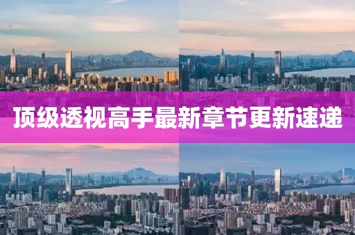 顶级透视高手最新章节更新速递