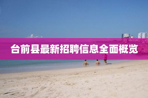 台前县最新招聘信息全面概览