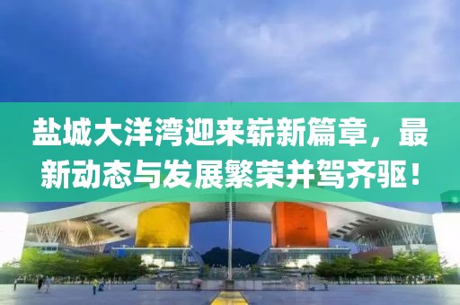 盐城大洋湾迎来崭新篇章，最新动态与发展繁荣并驾齐驱！
