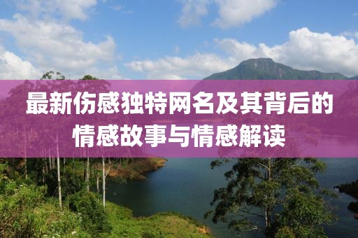 最新伤感独特网名及其背后的情感故事与情感解读