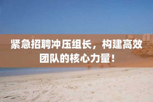紧急招聘冲压组长，构建高效团队的核心力量！