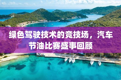 绿色驾驶技术的竞技场，汽车节油比赛盛事回顾