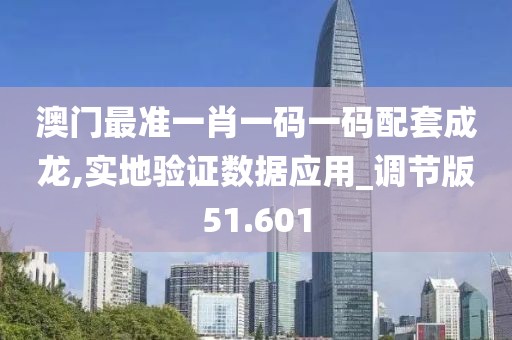 澳门最准一肖一码一码配套成龙,实地验证数据应用_调节版51.601
