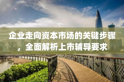 企业走向资本市场的关键步骤，全面解析上市辅导要求