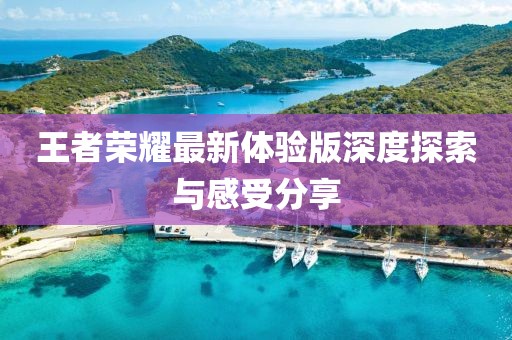 王者荣耀最新体验版深度探索与感受分享