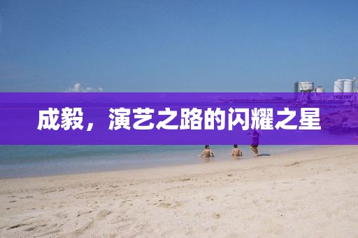 成毅，演艺之路的闪耀之星