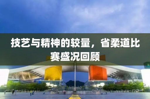 技艺与精神的较量，省柔道比赛盛况回顾