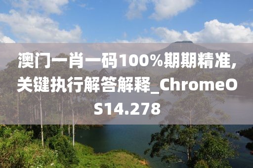 澳门一肖一码100%期期精准,关键执行解答解释_ChromeOS14.278
