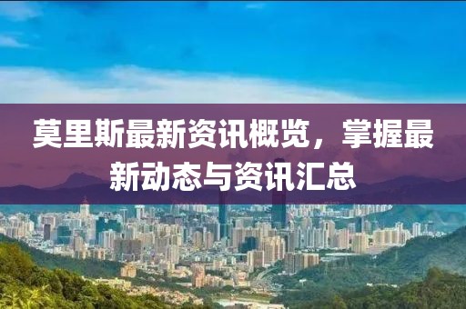 莫里斯最新资讯概览，掌握最新动态与资讯汇总