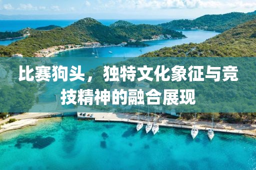 比赛狗头，独特文化象征与竞技精神的融合展现
