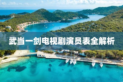 武当一剑电视剧演员表全解析