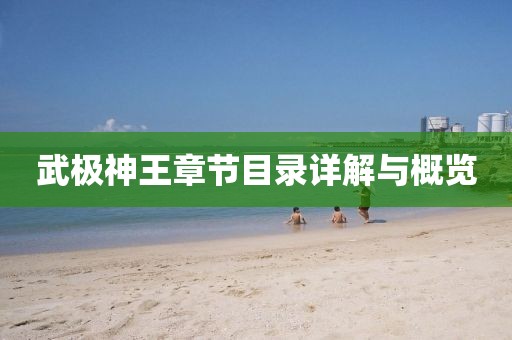 武极神王章节目录详解与概览