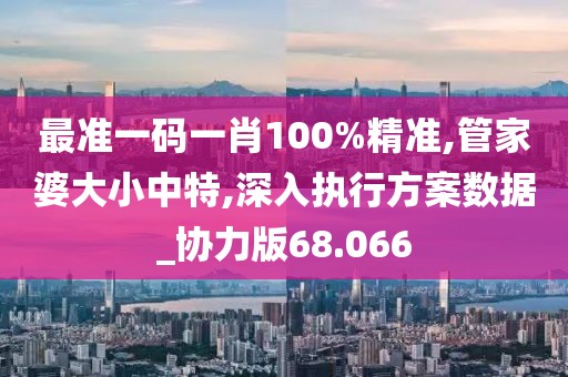最准一码一肖100%精准,管家婆大小中特,深入执行方案数据_协力版68.066