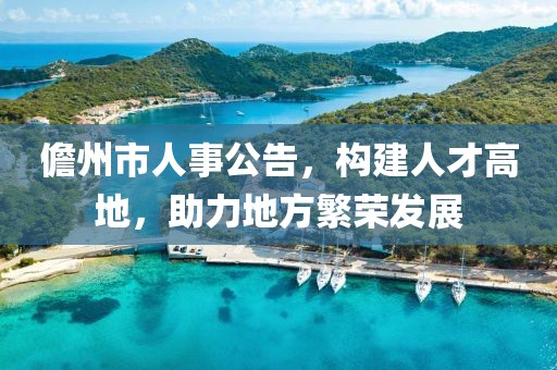 儋州市人事公告，构建人才高地，助力地方繁荣发展