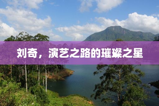 刘奇，演艺之路的璀璨之星