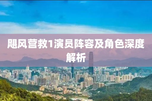 飓风营救1演员阵容及角色深度解析