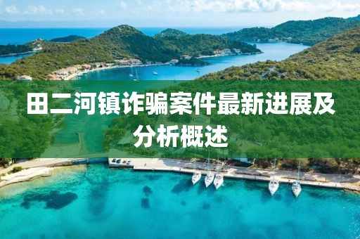 田二河镇诈骗案件最新进展及分析概述