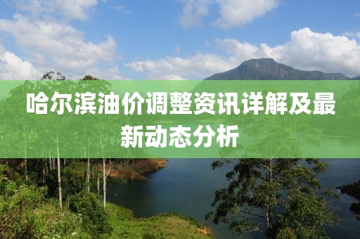 哈尔滨油价调整资讯详解及最新动态分析