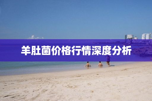 羊肚菌价格行情深度分析