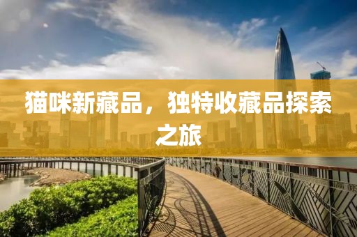 猫咪新藏品，独特收藏品探索之旅