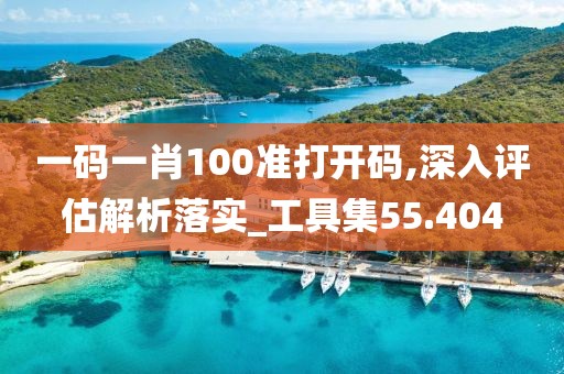 一码一肖100准打开码,深入评估解析落实_工具集55.404