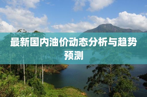 最新国内油价动态分析与趋势预测