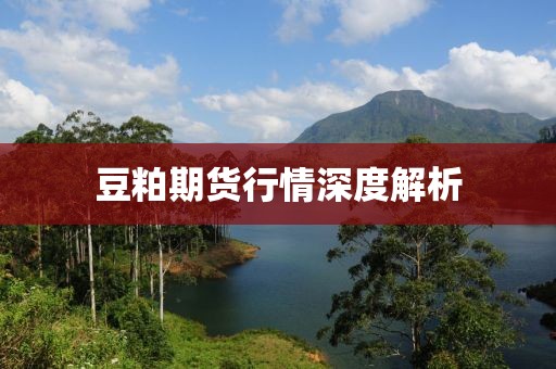 豆粕期货行情深度解析
