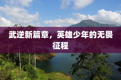 武逆新篇章，英雄少年的无畏征程