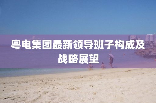 粤电集团最新领导班子构成及战略展望