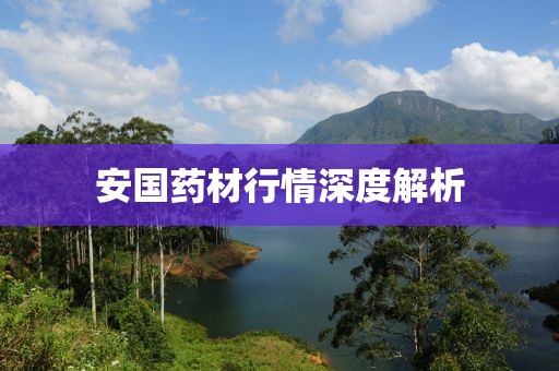 安国药材行情深度解析