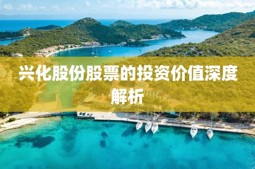 兴化股份股票的投资价值深度解析