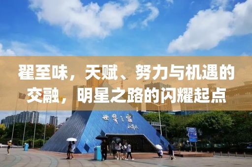 翟至味，天赋、努力与机遇的交融，明星之路的闪耀起点