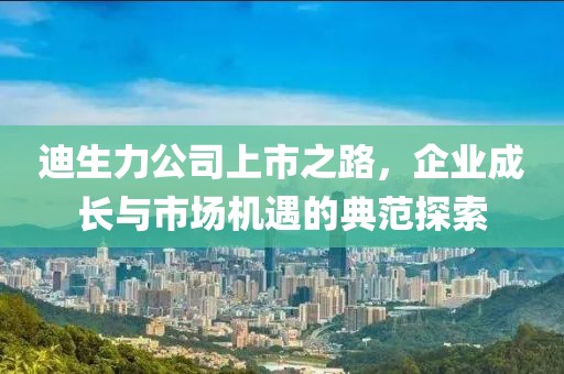 迪生力公司上市之路，企业成长与市场机遇的典范探索