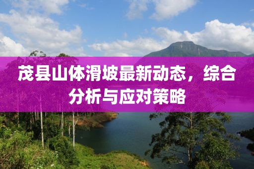 茂县山体滑坡最新动态，综合分析与应对策略