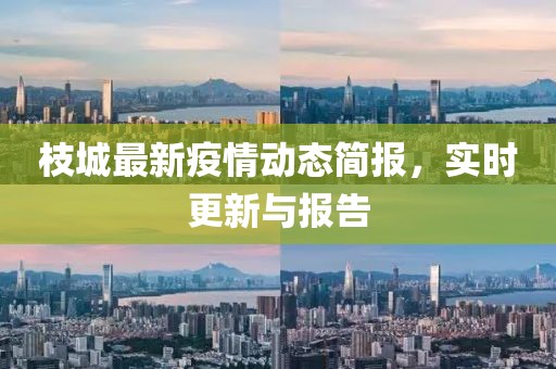 枝城最新疫情动态简报，实时更新与报告
