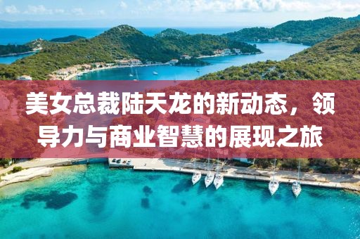 美女总裁陆天龙的新动态，领导力与商业智慧的展现之旅